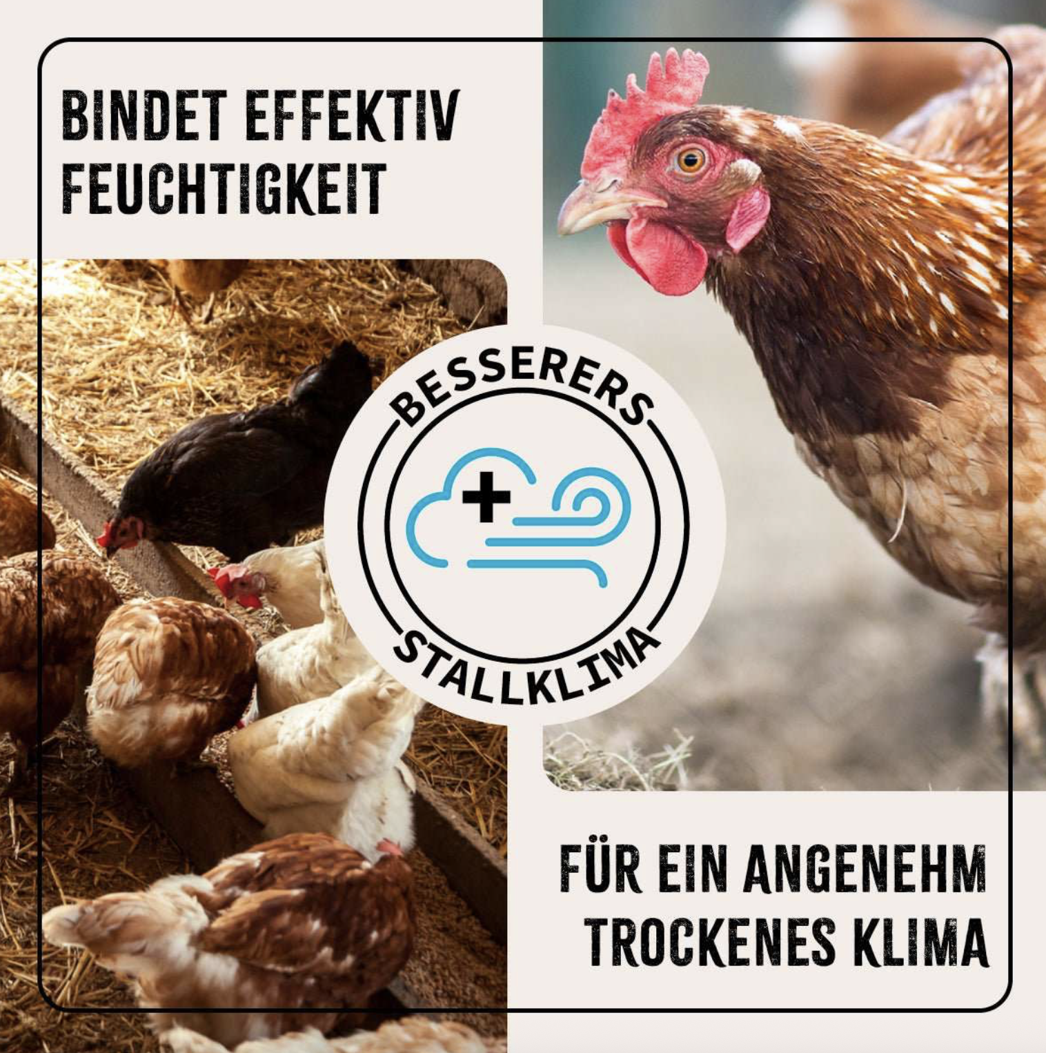 Screenshot 2026-02-05 at 13.48.32